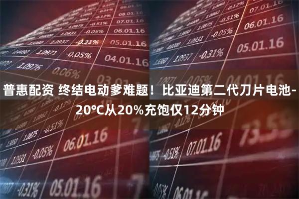 普惠配资 终结电动爹难题！比亚迪第二代刀片电池-20℃从20%充饱仅12分钟