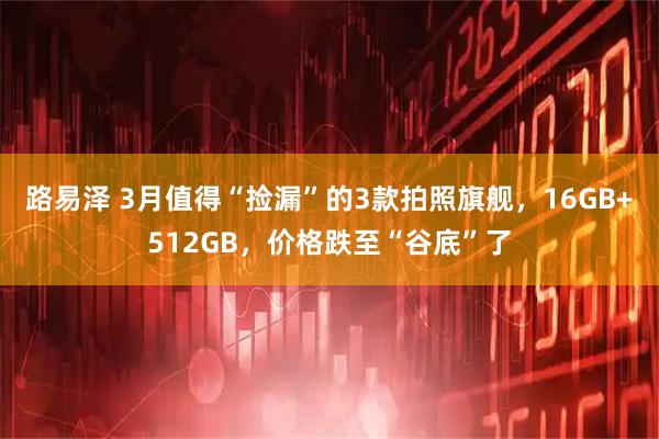 路易泽 3月值得“捡漏”的3款拍照旗舰，16GB+512GB，价格跌至“谷底”了