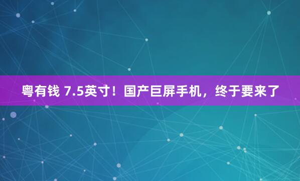 粤有钱 7.5英寸！国产巨屏手机，终于要来了