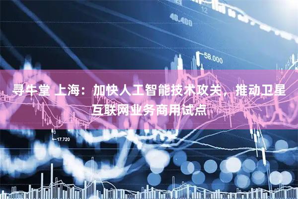 寻牛堂 上海：加快人工智能技术攻关，推动卫星互联网业务商用试点
