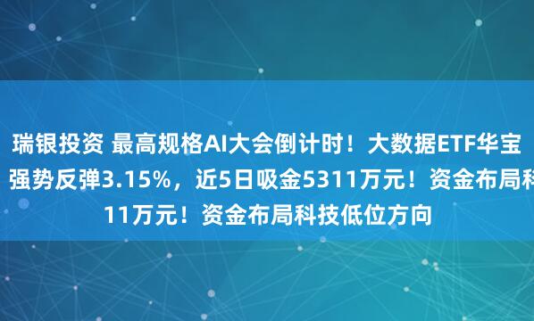 瑞银投资 最高规格AI大会倒计时!大数据ETF华宝(516700)强势反弹3.15%,近5日吸金5311万元!资金布局科技低位方向