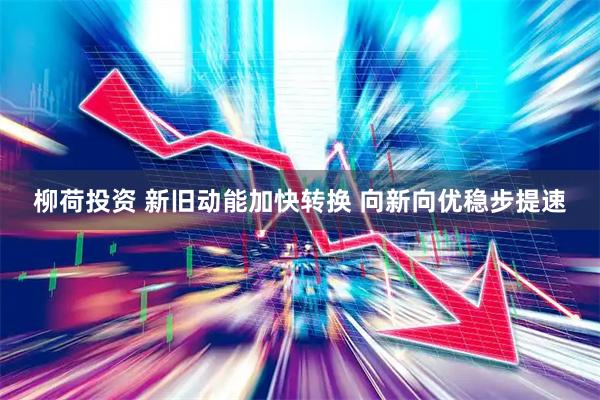 柳荷投资 新旧动能加快转换 向新向优稳步提速