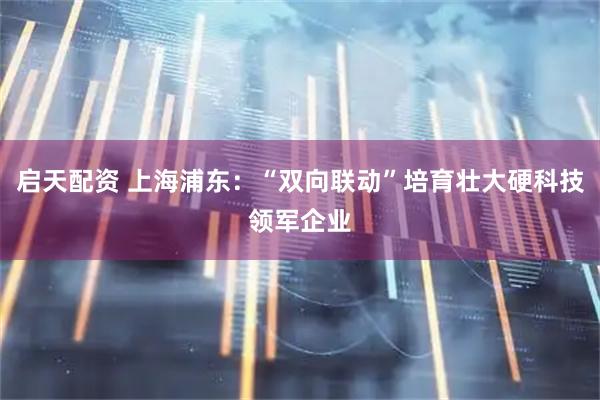 启天配资 上海浦东：“双向联动”培育壮大硬科技领军企业